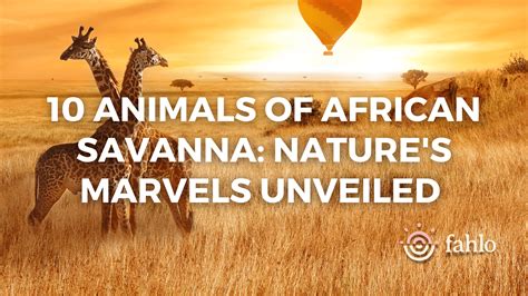 10 Animals Of African Savanna Nature S Marvels Unveiled Fahlo