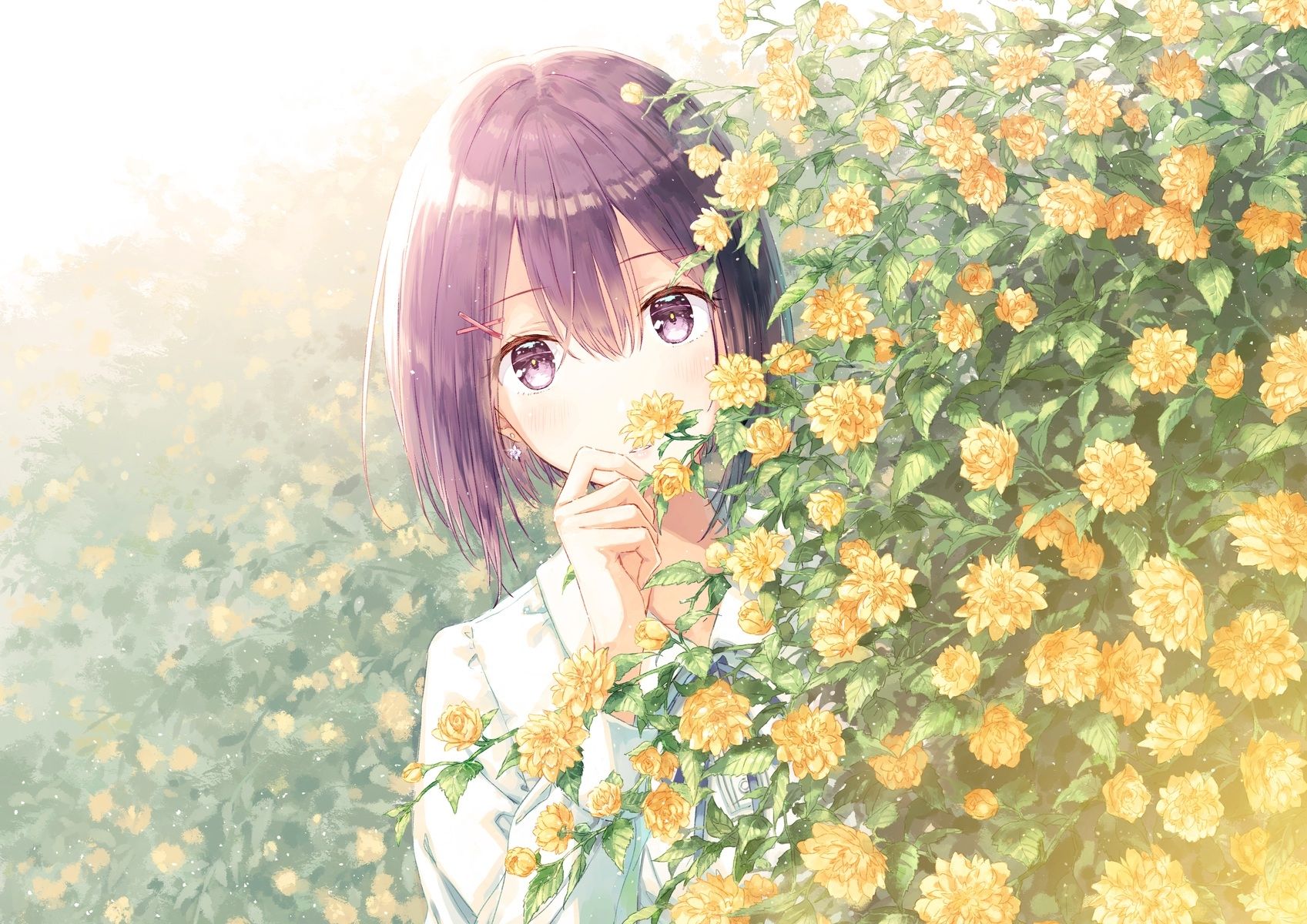 100 Anime Flower Wallpapers Wallpapers Com