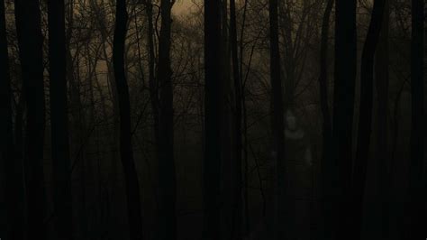 100 Haunted Forests Wallpapers Wallpapers Com