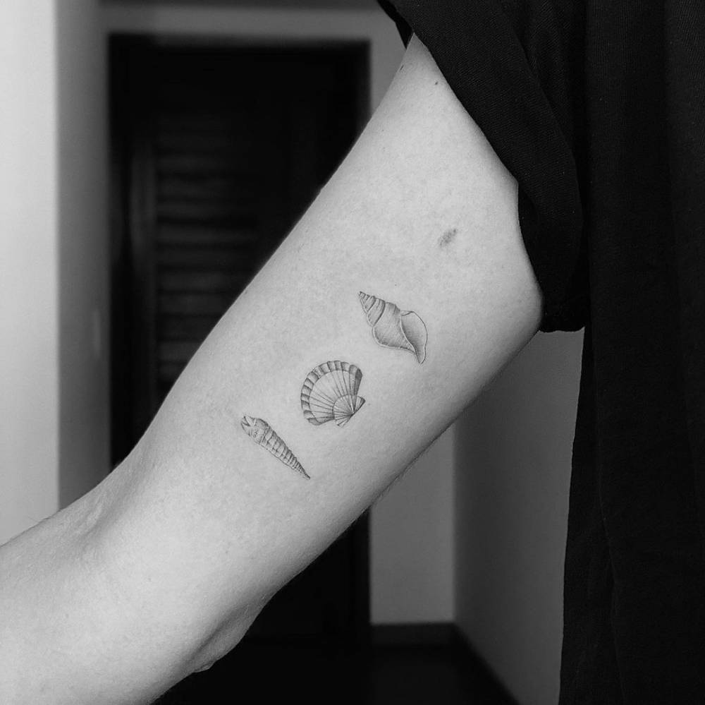 14 Shells Ideas Shell Tattoos Seashell Tattoos Tattoo Designs