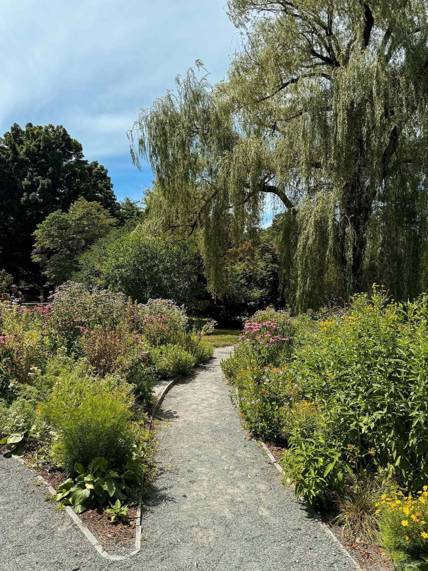 14 Unique And Non Touristy Things To Do In Boston Bookish Wayfarer