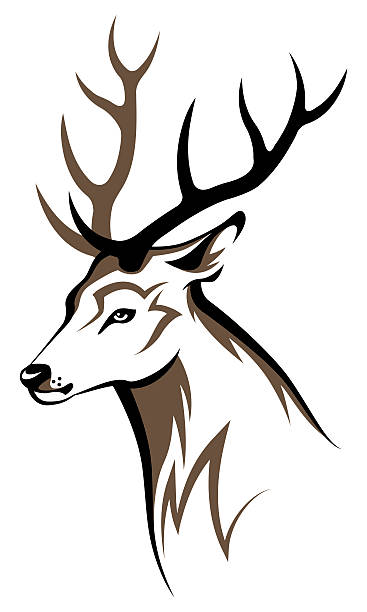 230 Tribal Deer Antler Tattoos Stock Illustrations Royalty Free Vector Graphics Clip Art Istock