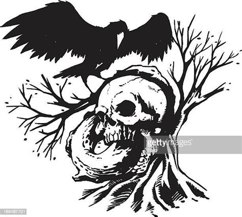 251 Raven Skull Stock Photos High Res Pictures And Images Getty Images
