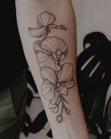 33 Gorgeous Orchid Tattoo Ideas To Inspire You In 2023 33 Gorgeous Orchid Tattoo Ideas To Inspire You In 2023