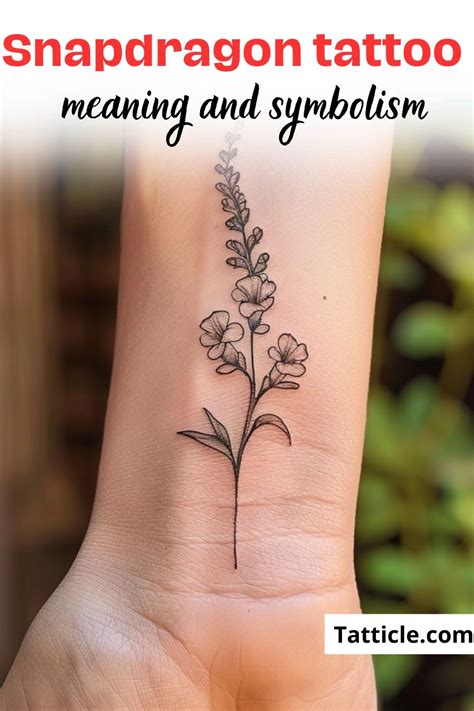 33 Snapdragon Tattoo Ideas Meaning Tattoo Glee 33 Snapdragon Tattoo Ideas Meaning Tattoo Glee