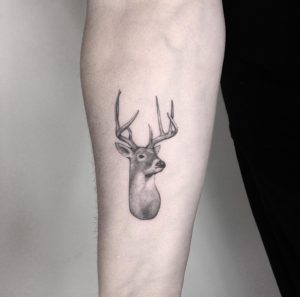 45 Excellent Stag Tattoo Designs And Ideas Tattooblend