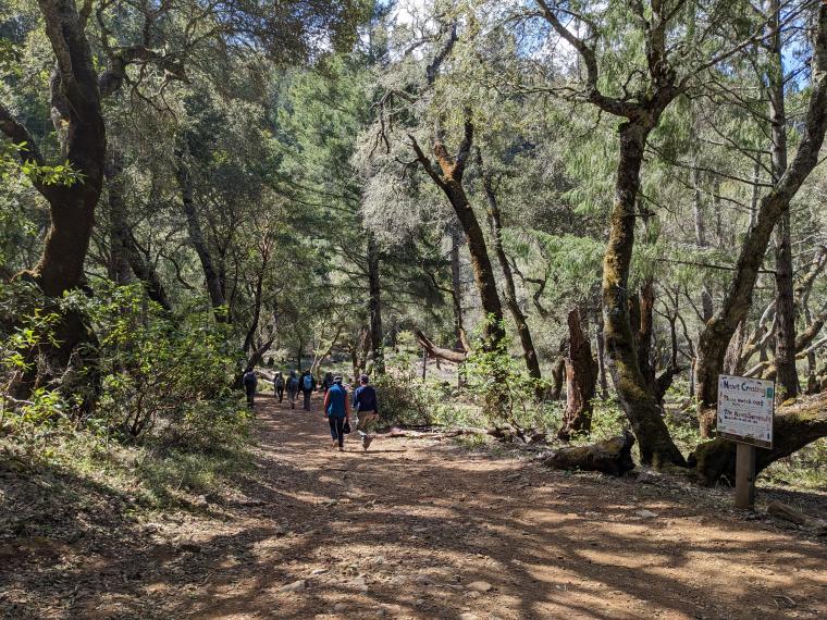 5 Indictators Of Forest Health: A Compact Guide To Key Metrics