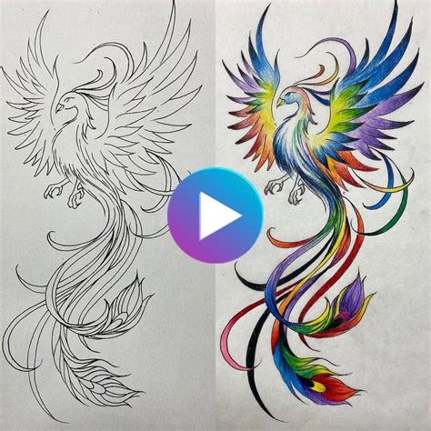 50 Best Flying Phoenix Tattoos Sketch Amp Design With Meanings Phoenix 50 Best Flying Phoenix Tattoos Sketch Amp Design With Meanings Phoenix