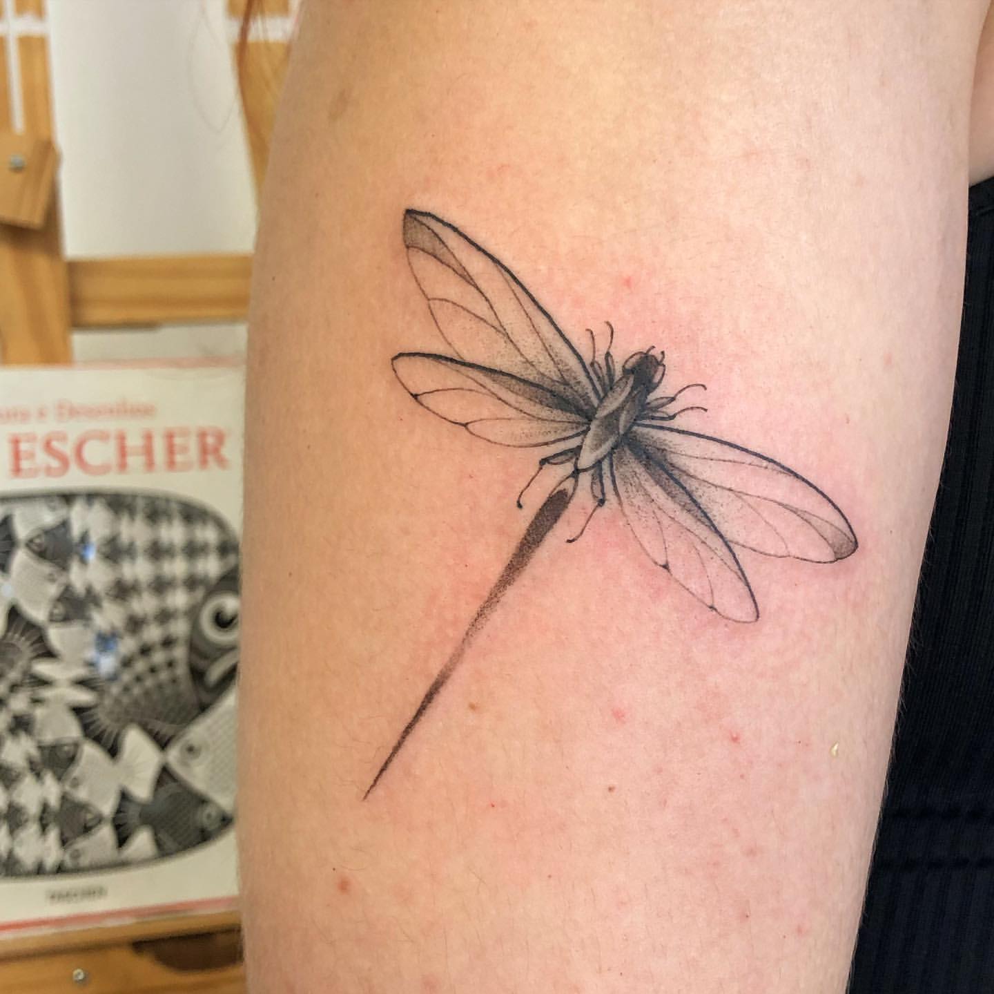 500 Best Dragonfly Tattoo Ideas Designs And Meaning 2026 500 Best Dragonfly Tattoo Ideas Designs And Meaning 2026