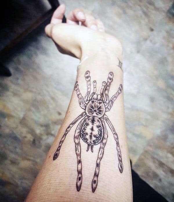 70 Tarantula Tattoos For Men 70 Tarantula Tattoos For Men