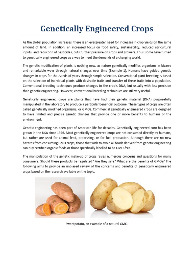 8 Future Genetically Engineered Crops Genetically Engineered Crops Experiences And Prospects The National Academies Press