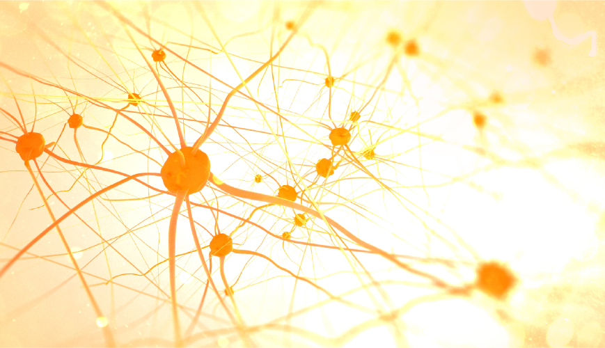 Agriculture Discoveries By Women: Milestones And Impact On Farming