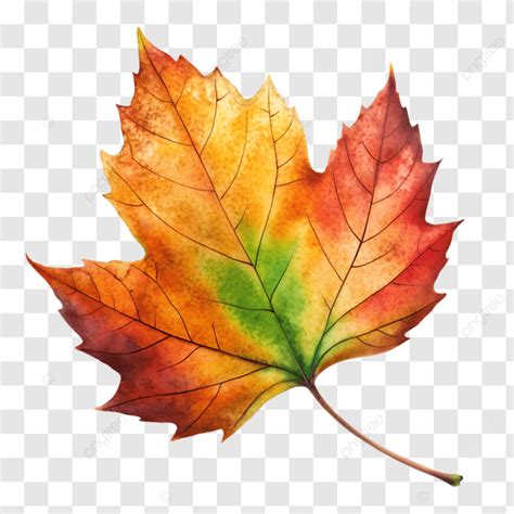 Autumn Leaves Autumn Leaves