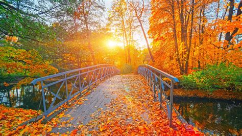 Autumn Serenity A Stunning Hd Wallpaper Of Fall In The Park Autumn Serenity A Stunning Hd Wallpaper Of Fall In The Park