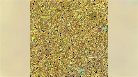 Brain Teaser Can You Find The Sewing Needle In A Haystack Brain Teaser Can You Find The Sewing Needle In A Haystack