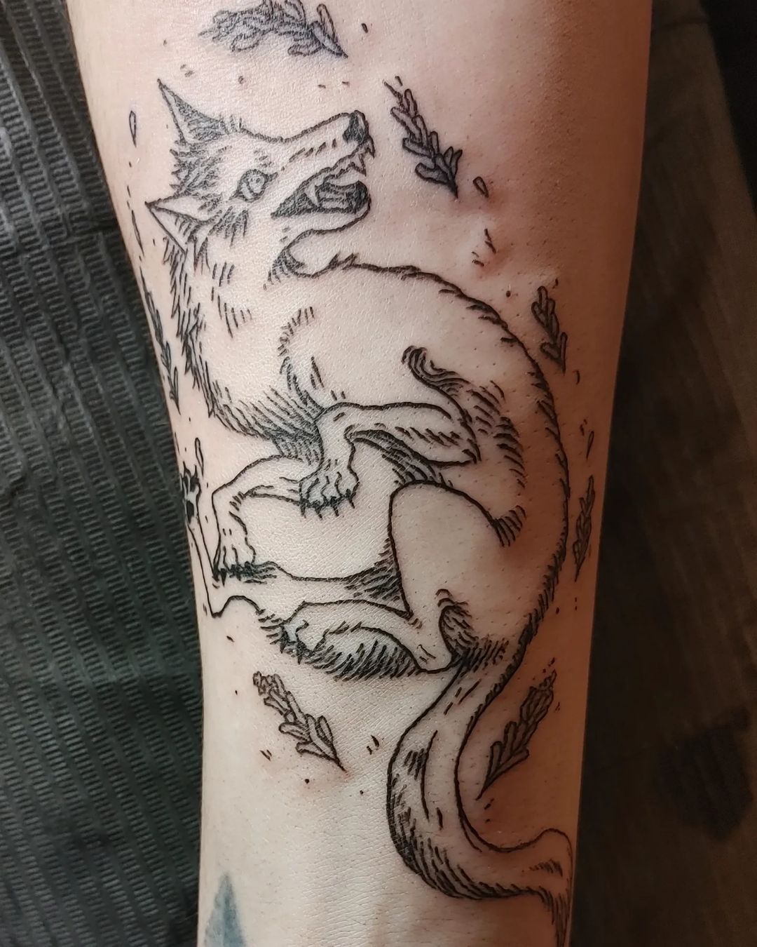 Coyote Tattoo