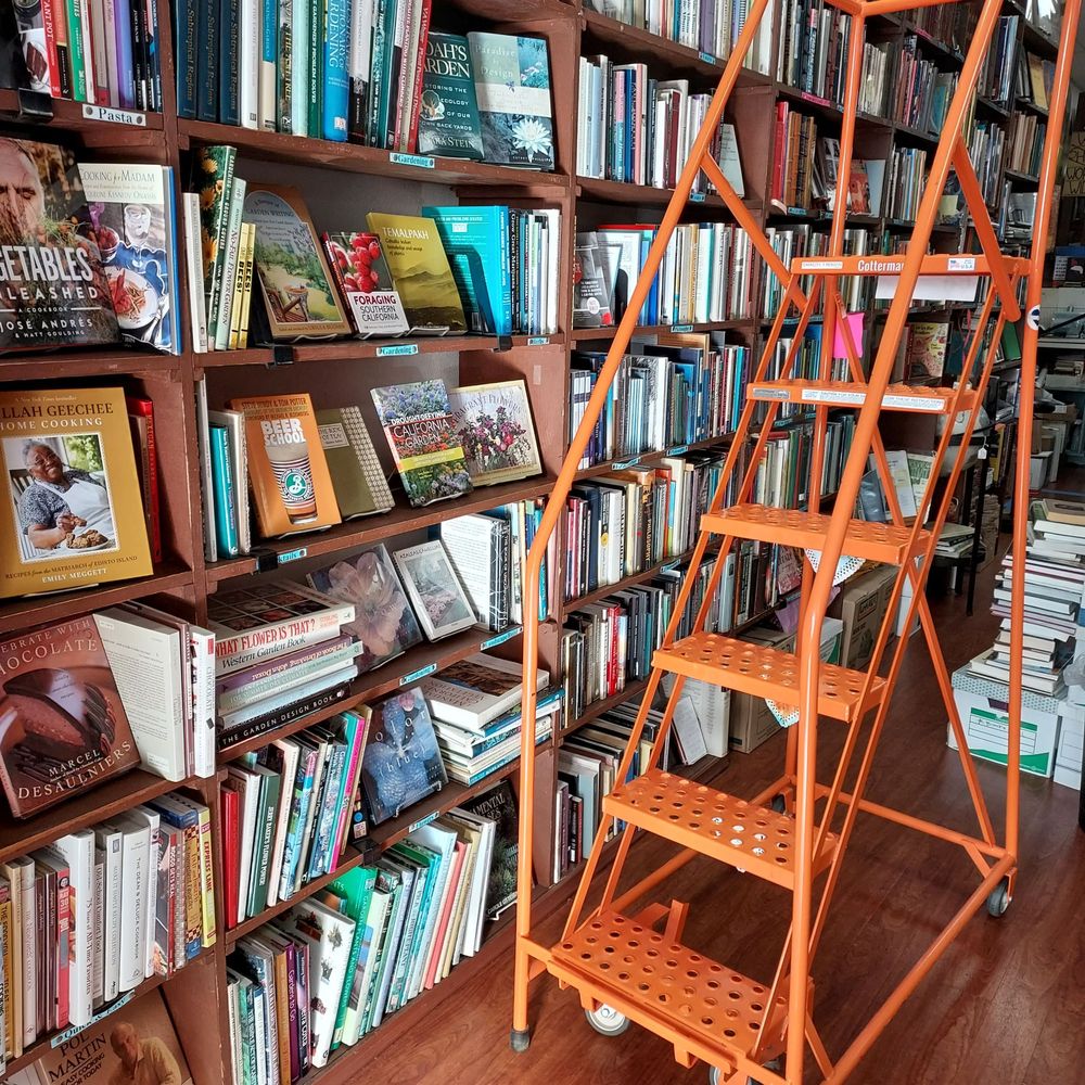 Elizabeth Carter A Prominent Member Of The Bluestocking Circle San Diego Reader