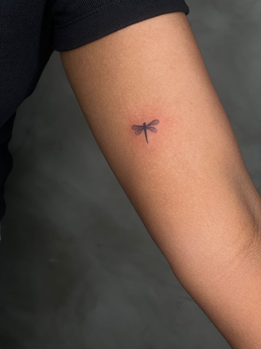 Explore Dragonfly Tattoo Deep Meaning And Creative Design Options