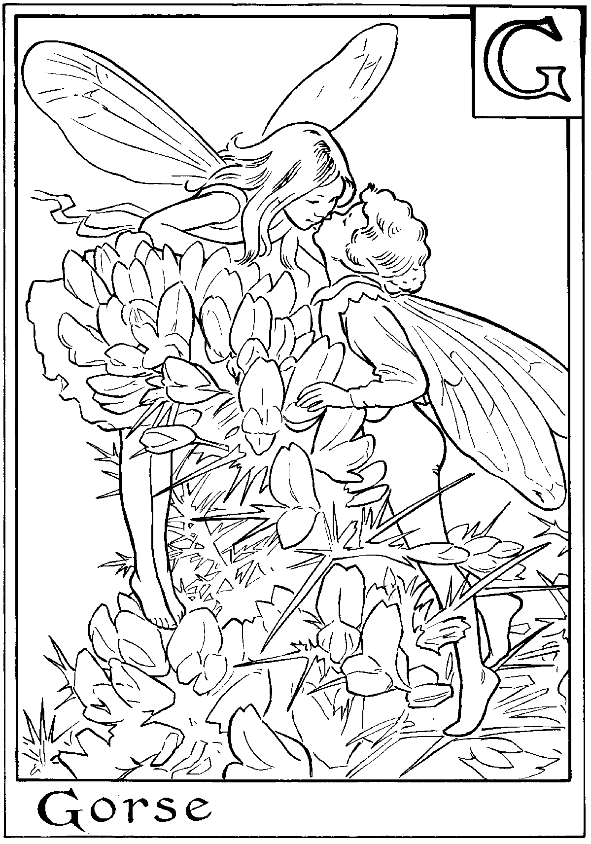 Ways To Enjoy Fairies Coloring Pages For Kids And Adults