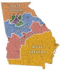 Georgia S Political Geography A Growing And Diverse State Gets More Competitive Washington Post