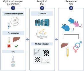 High Throughput Lc Ms Ms Method For Steroid Hormone Analysis In Rat Liver And Plasma Unraveling Methodological Challenges Sciencedirect High Throughput Lc Ms Ms Method For Steroid Hormone Analysis In Rat Liver And Plasma Unraveling Methodological Challenges Sciencedirect