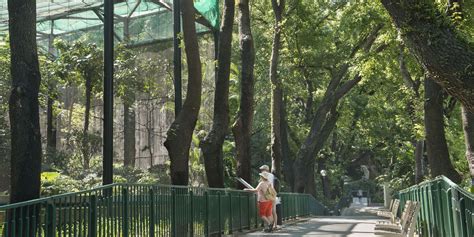 Hong Kong Zoological And Botanical Gardens Unveiling The Art Of Nature In Hong Kong Hong Kong Zoological And Botanical Gardens Unveiling The Art Of Nature In Hong Kong