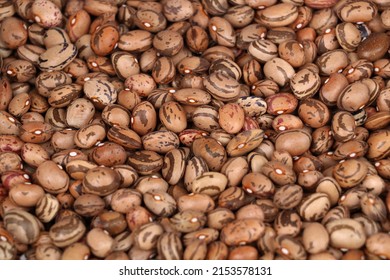 How Are Organic Beans Produced: Quick Guide To The Production Basics