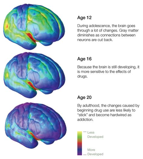 How Substance Use Affects Brain Development In Teens How Substance Use Affects Brain Development In Teens