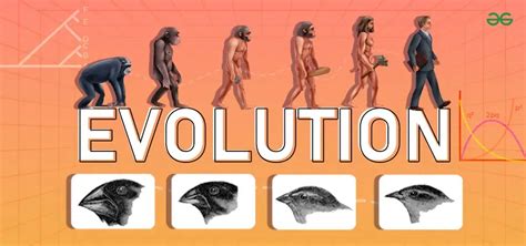 Interesting Facts About Evolution Geeksforgeeks Interesting Facts About Evolution Geeksforgeeks