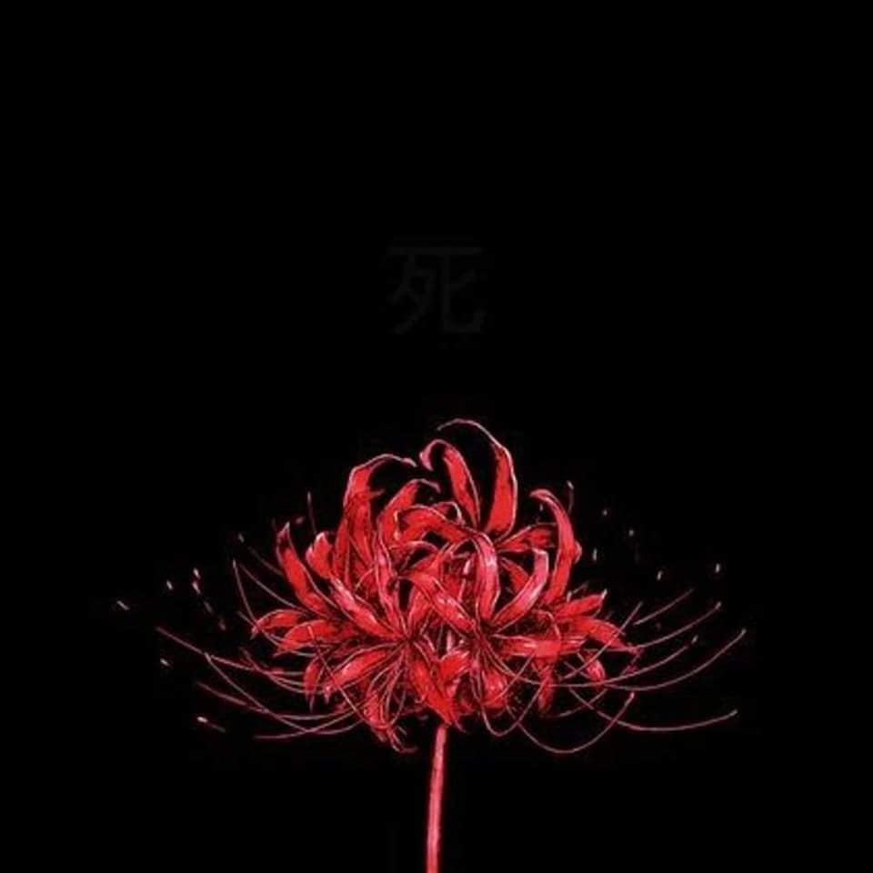 Japanese Death Flower