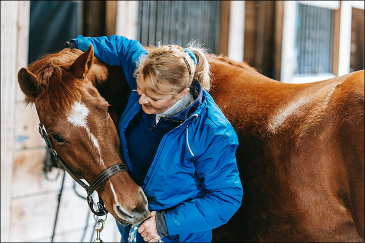 Why Ketamine Horse Tranquilizer Is Used For Safe Equine Sedation