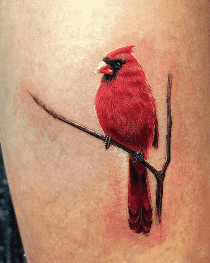 Kyle Anderson Cardinal Tattoo Printable Calendars At A Glance Kyle Anderson Cardinal Tattoo Printable Calendars At A Glance