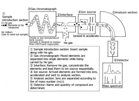 Mass Spectrometry Basics Mass Spectrometry Jeol Usa Mass Spectrometry Basics Mass Spectrometry Jeol Usa