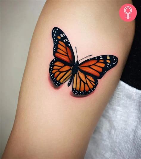 Monarch Butterfly Tattoo Meanings Design Ideas Favvosee Monarch Butterfly Tattoo Meanings Design Ideas Favvosee