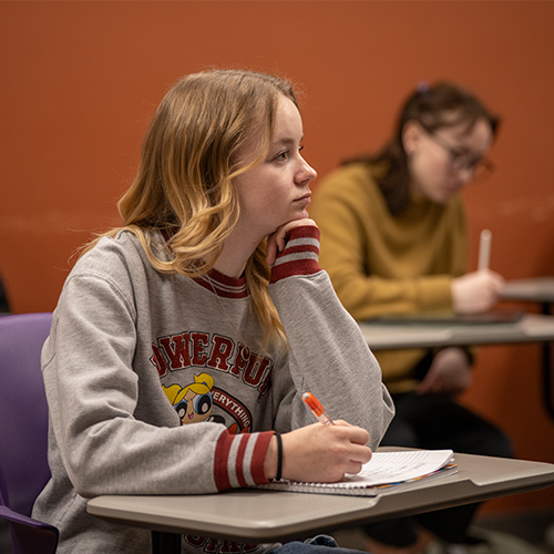 From Curious Visitor To Curator: Museum Studies Emphasis Major Tale