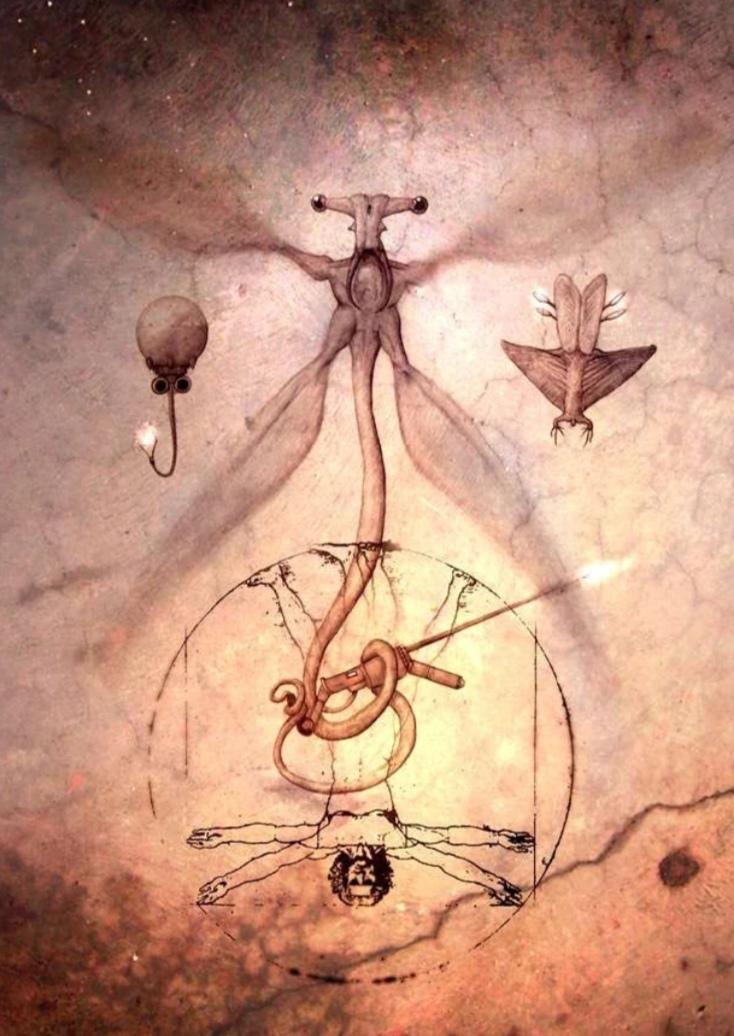 Number 4 Where Is Number 4 Do You Think He Amp 39 S Made A Run F Flickr Number 4 Where Is Number 4 Do You Think He Amp 39 S Made A Run F Flickr