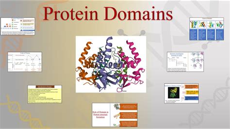 Common Pitfalls In Estimating The Number Of Protein Domains