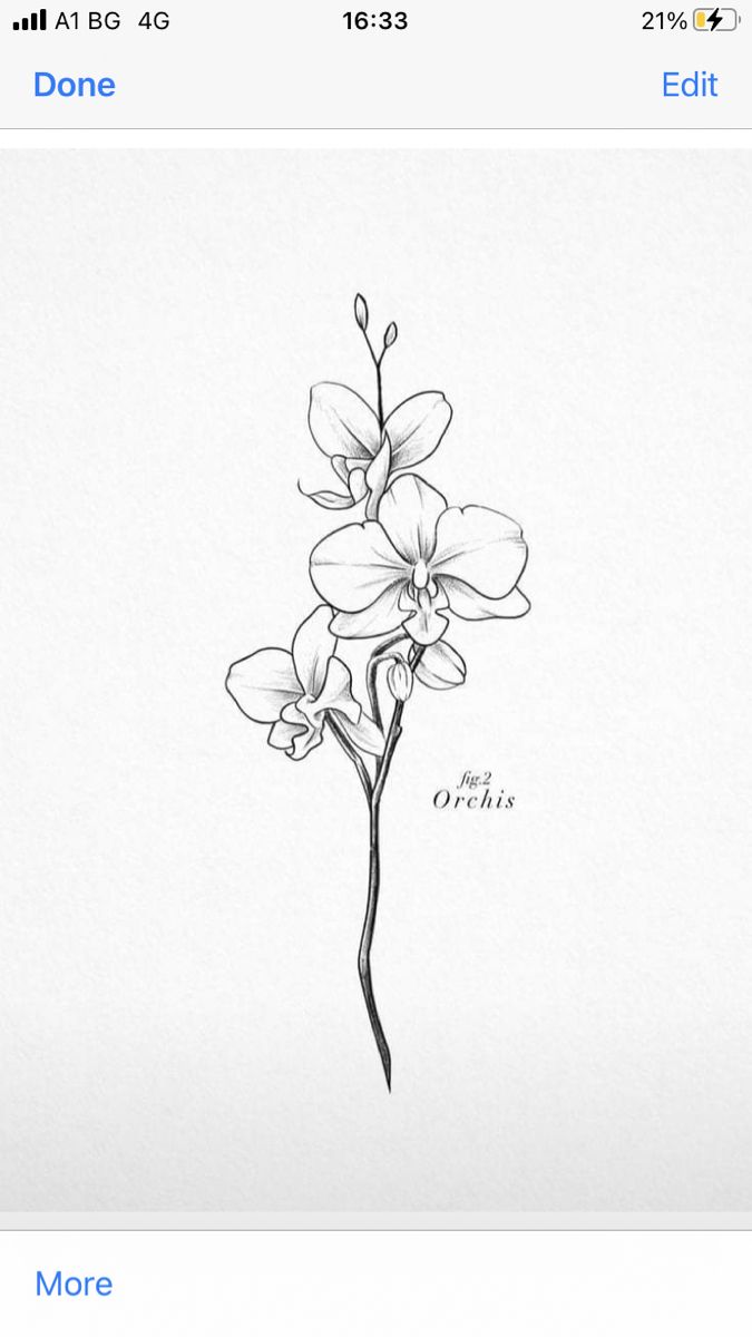 Orchid Flower Tattoo Designs