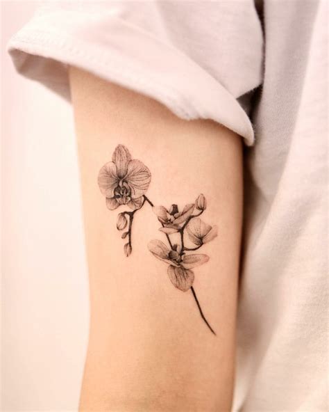Orchid Tattoo Ideas Orchid Tattoo Ideas