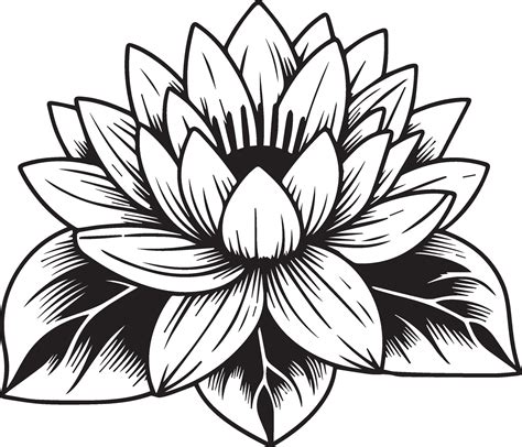 Outline Water Lily Drawing Tattoo Outline Water Lily Drawing Japanese Water Lily Tattoo Design July Birth Flower Water Lily Tattoo Water Lily Pad Coloring Pages Stock Vector Adobe Stock