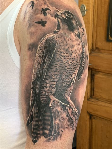 Peregrine Falcon Tattoo