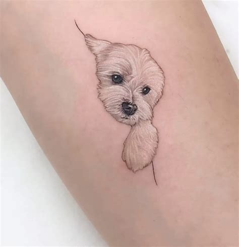 Pin By Con R O Ghallch Ir On Tattoos Tattoos For Dog Lovers Colorful Pin By Con R O Ghallch Ir On Tattoos Tattoos For Dog Lovers Colorful