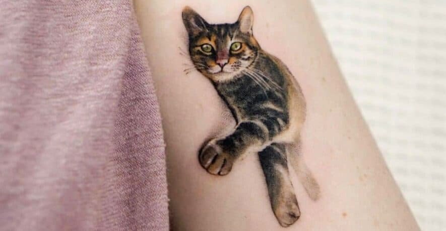 Pin By Dana On Tattoo Ideas Cat Tattoo Designs Cat Tattoo Blue