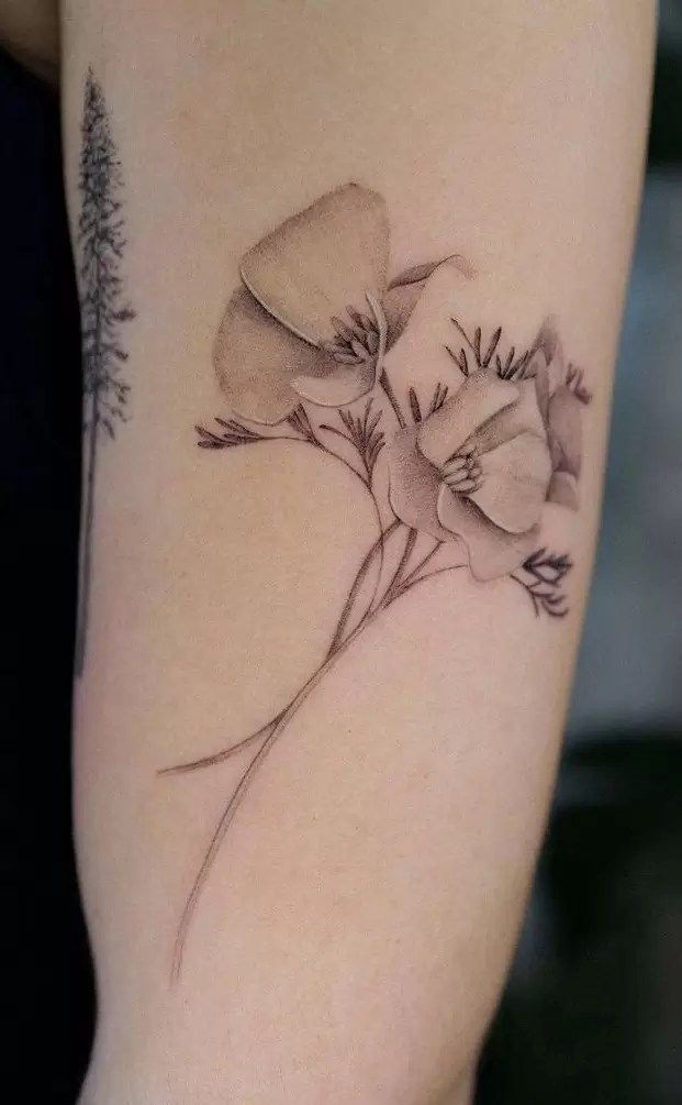 Poppy Flower Tattoos An Accurate Guide To Their Meanings