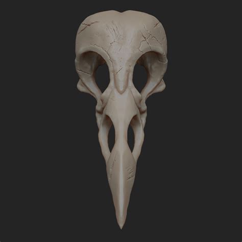 Raven Skull Front View