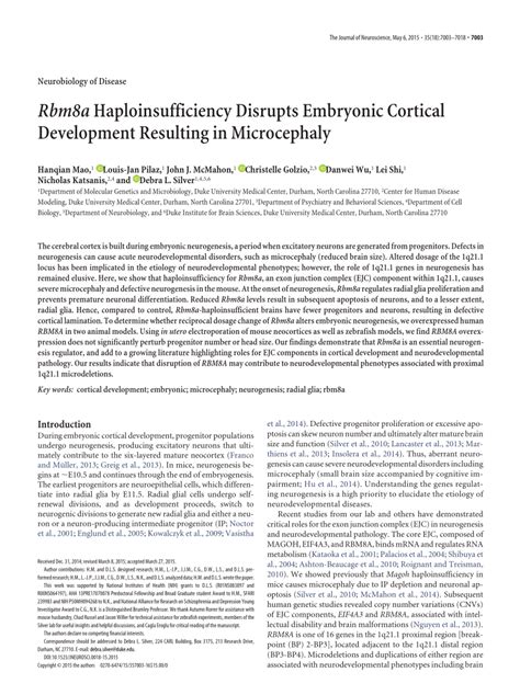 Rbm8a Haploinsufficiency Disrupts Embryonic Cortical Development Resulting In Microcephaly Journal Of Neuroscience Rbm8a Haploinsufficiency Disrupts Embryonic Cortical Development Resulting In Microcephaly Journal Of Neuroscience