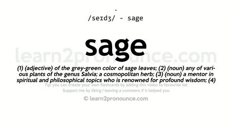 Fast Sage Definition In The Odyssey: Quick Odyssean Wisdom