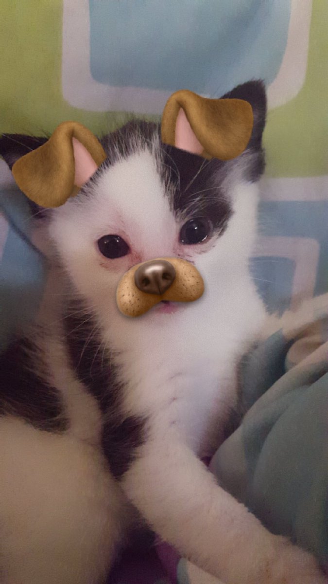 Salice Rose On Twitter Amp Quot Road Trip Https T Co Vbdgrlvav8 Amp Quot Twitter Salice Rose On Twitter Amp Quot Road Trip Https T Co Vbdgrlvav8 Amp Quot Twitter