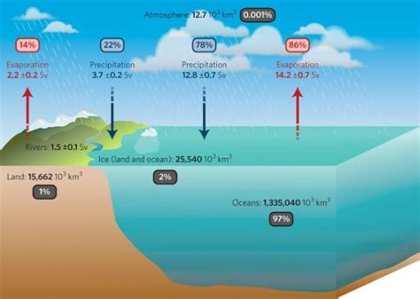 Troubleshooting Salinity Ocean Drawing For Accurate Sea Maps