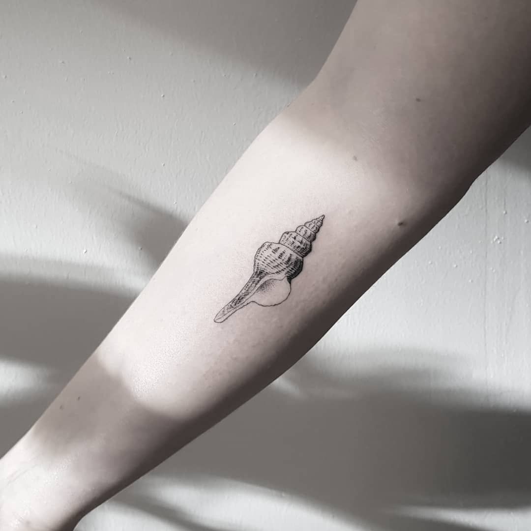 Shell Seashell Tattoos